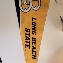 Long Beach state flag