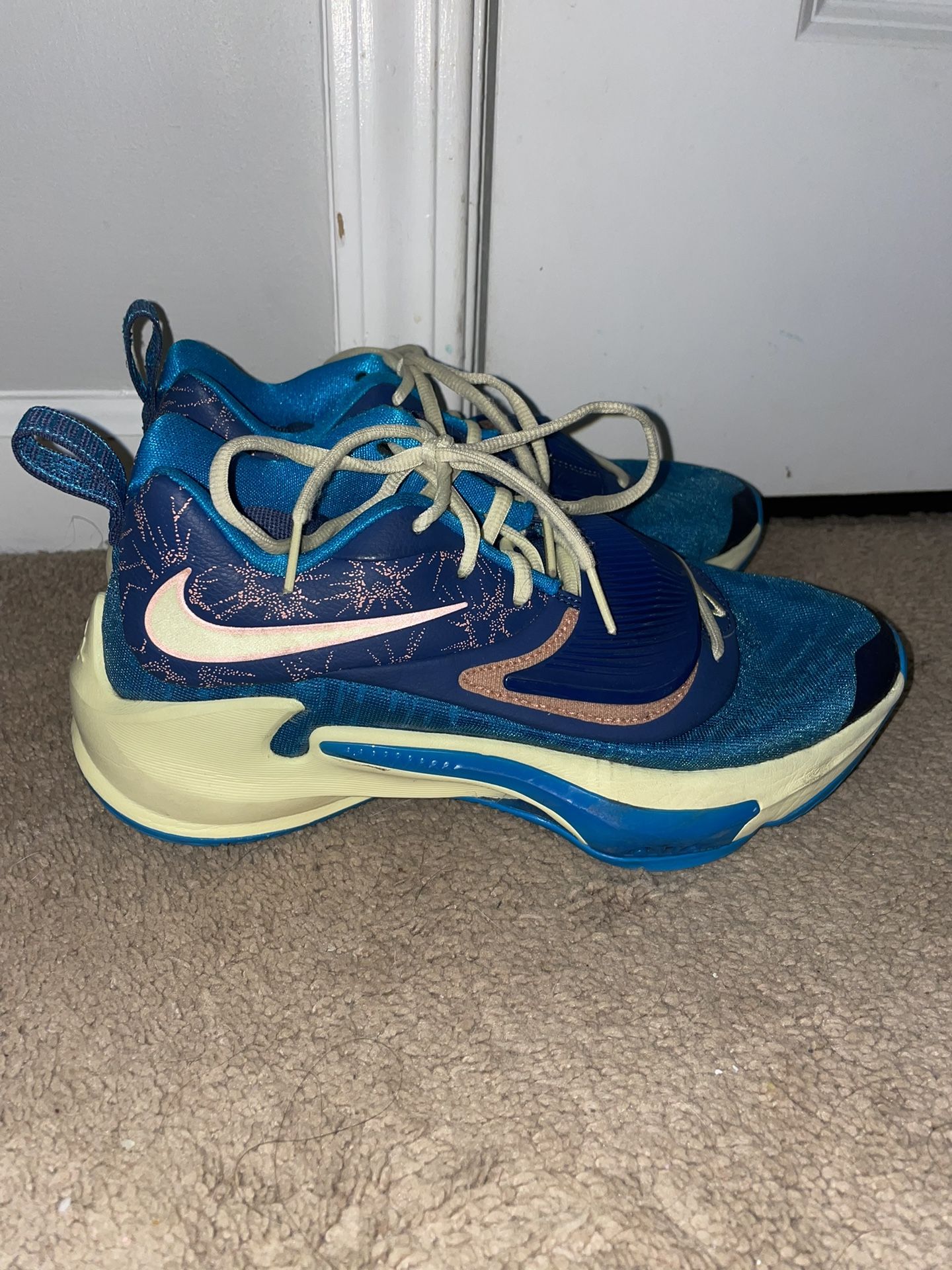 Limited Edition Nike Basketball Shoes