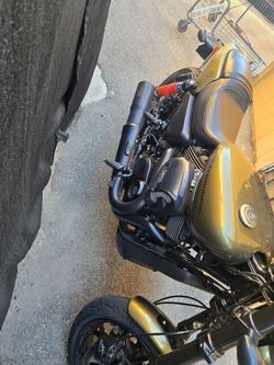 2017 harly davidson street rod 750