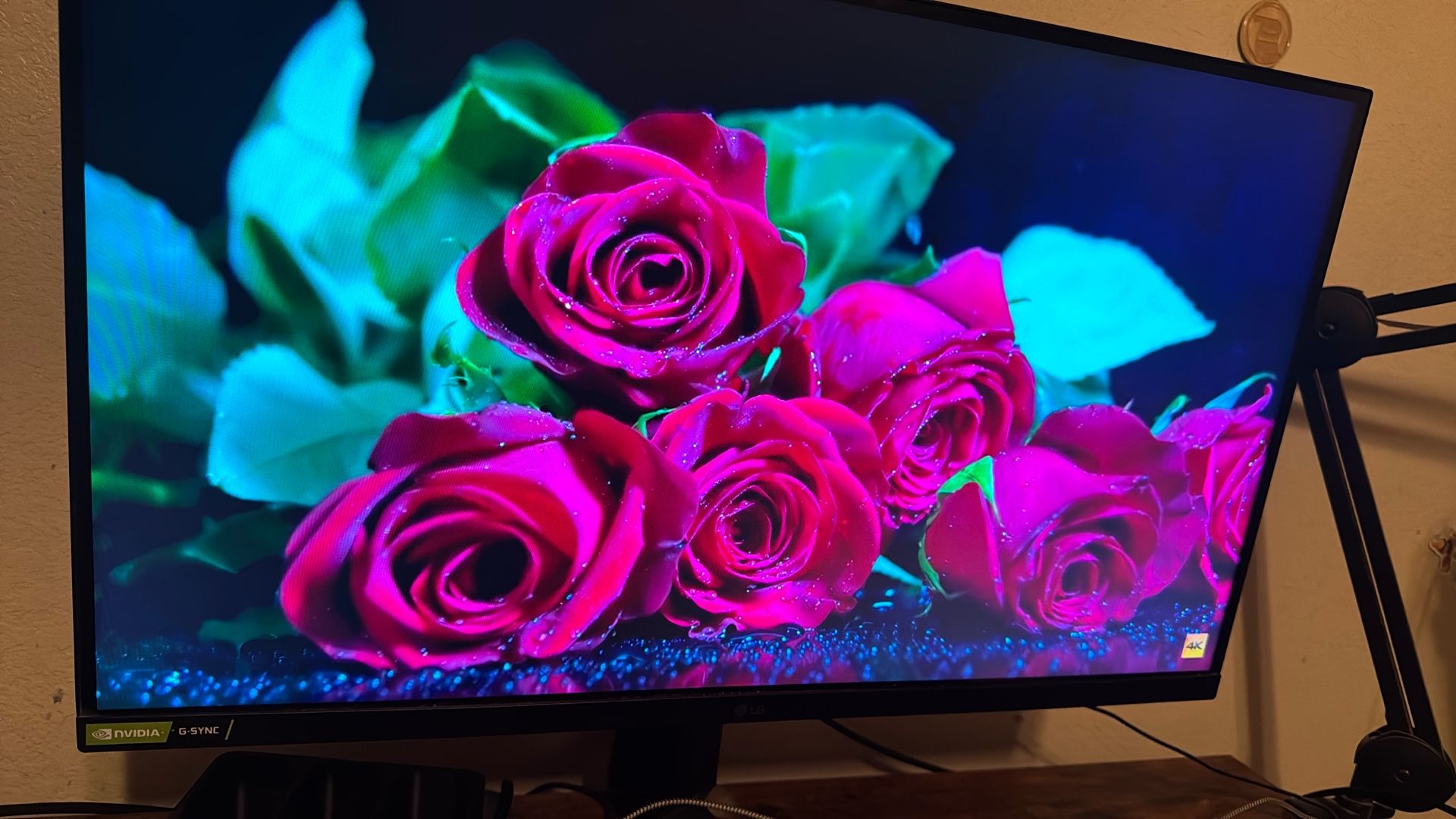 LG Ultragear Monitor