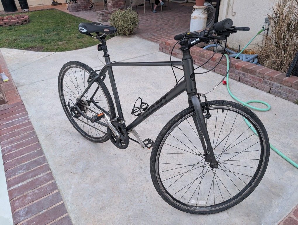 Giant Bike