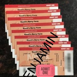 KNOTTS BERRY FARM TICKETS - meet in person