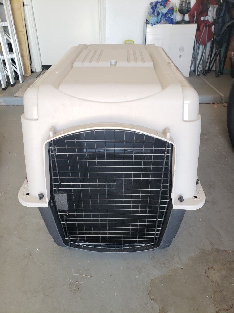 Large Dog Kennel