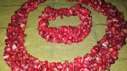 16 Inche Red Coral bead Choker With matching bracelet.