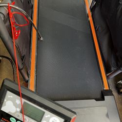 Dog Treadmill