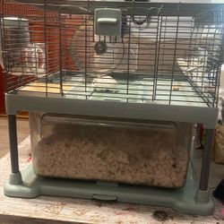 Hamster
