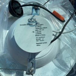 Luces blancas de receso/White Recess Lights 