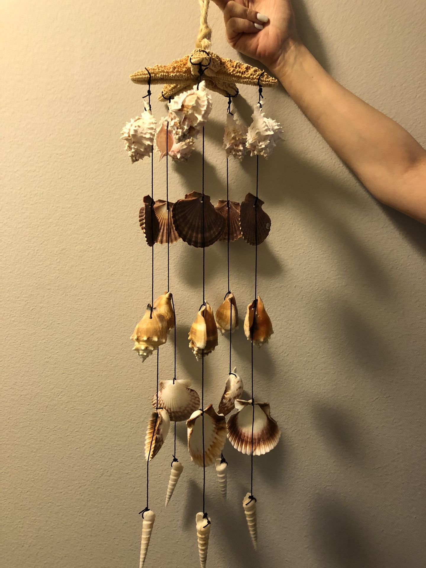 Hanging Seashell Decor/ Wind Chime