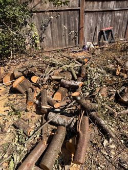 Free Firewood