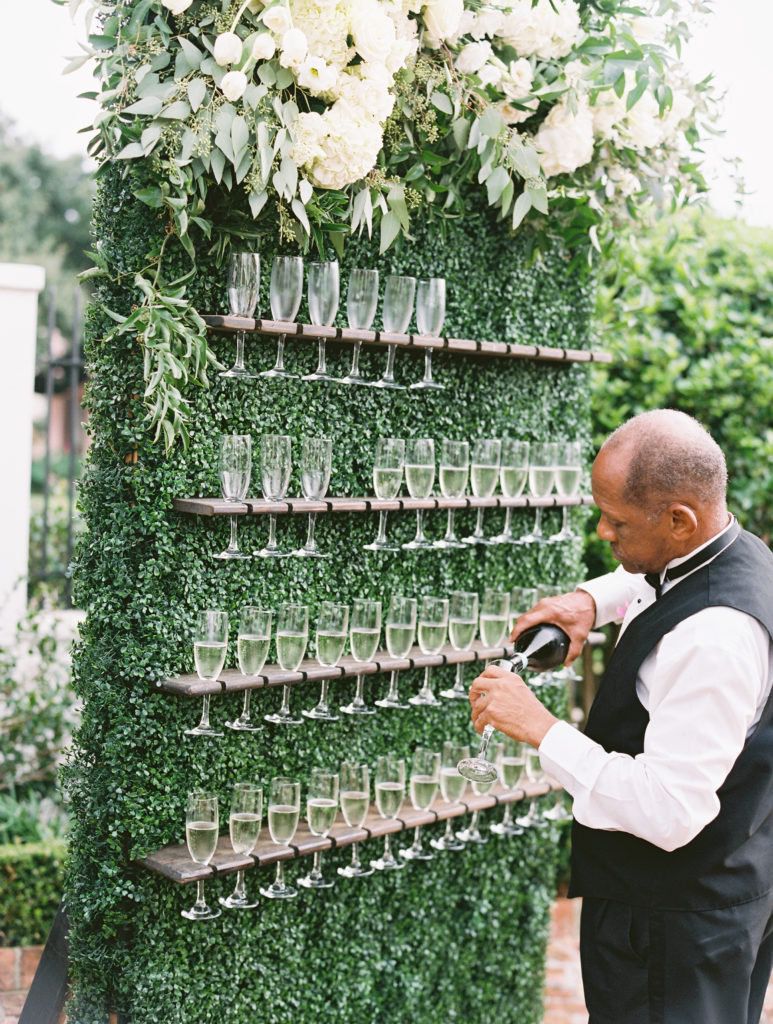 Champagne boxwood hedge Wall For Sale For Weddings And parties 