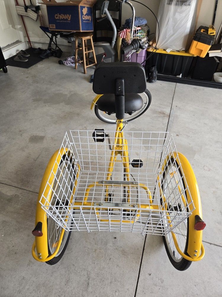Adult Tricycle
