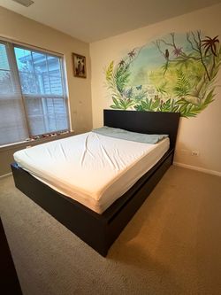 Queen bedframe with storage