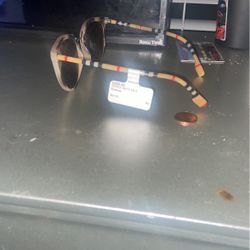 Burberry Glasses Females 