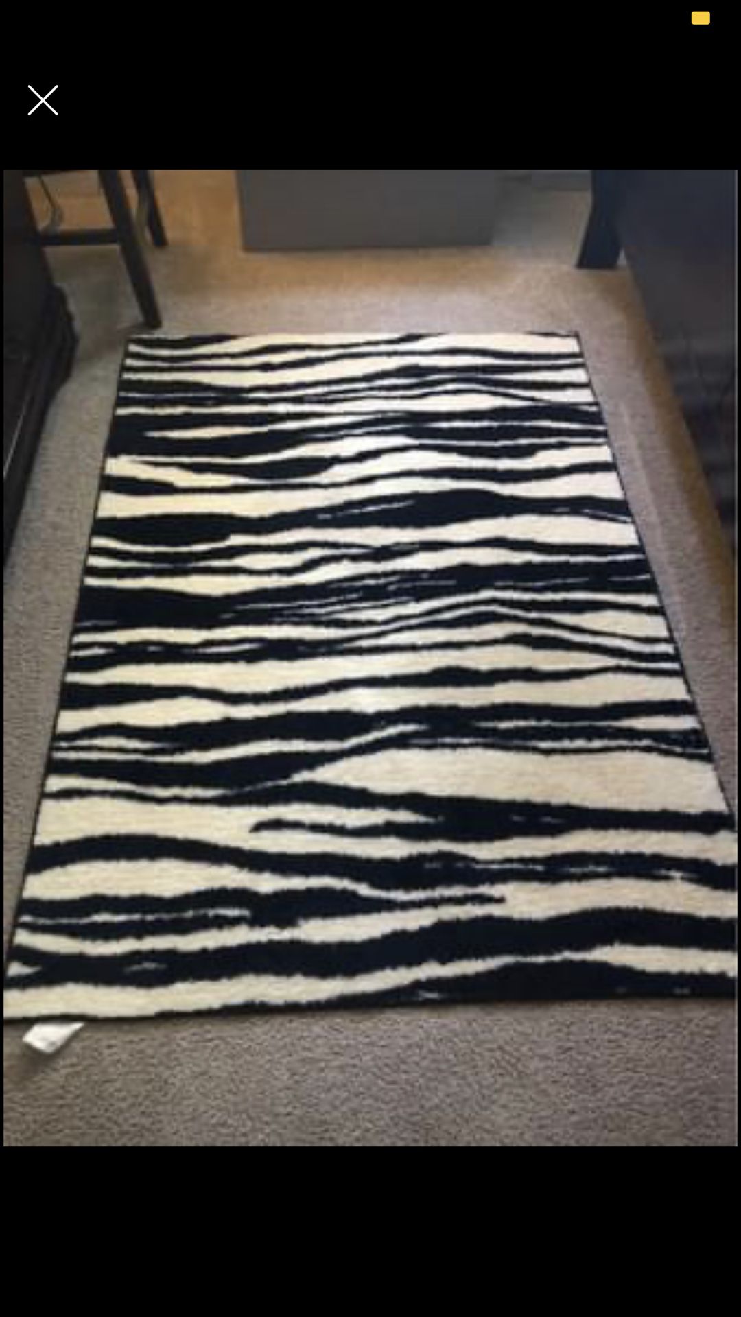 Beautiful zebra paint rug