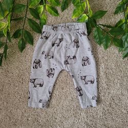 Carter's Baby Boy Bear Pants (3-6 Months)
