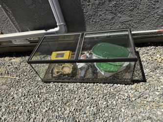Reptile Terrarium