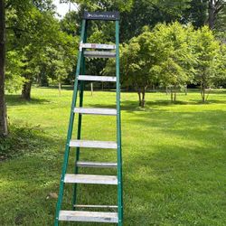 Louisville Fibre Glass 8 Foot Ladder