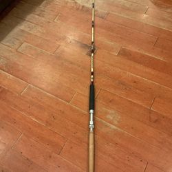 Ocean Fishing Pole