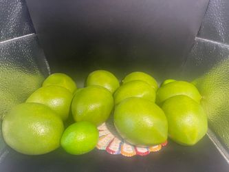 Lot of 13 Fake Limes