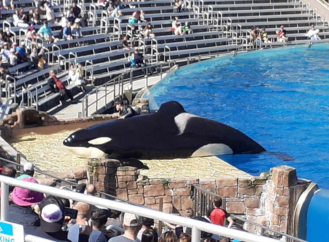 Sea World Tickets