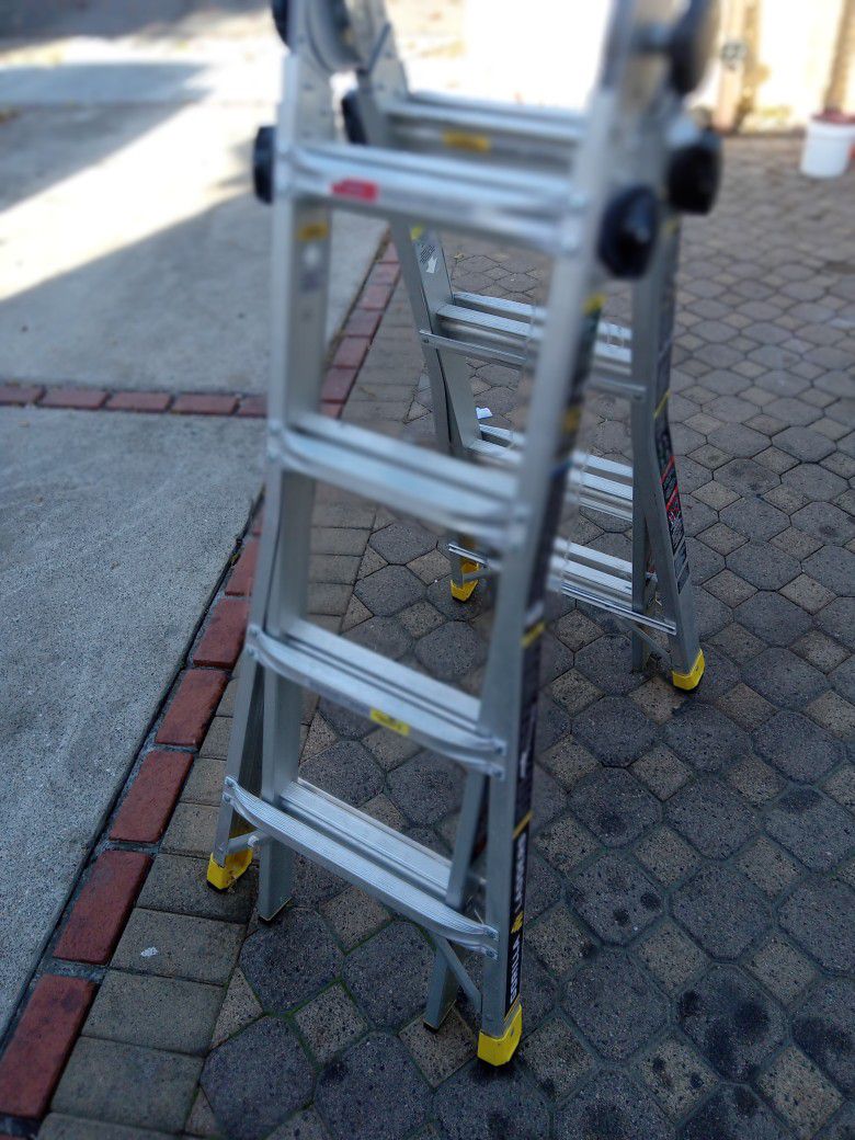 Gorilla Ladders



