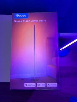 Govee Lamp Basic
