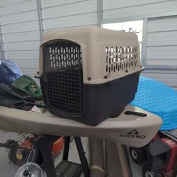 Pet Carrier 