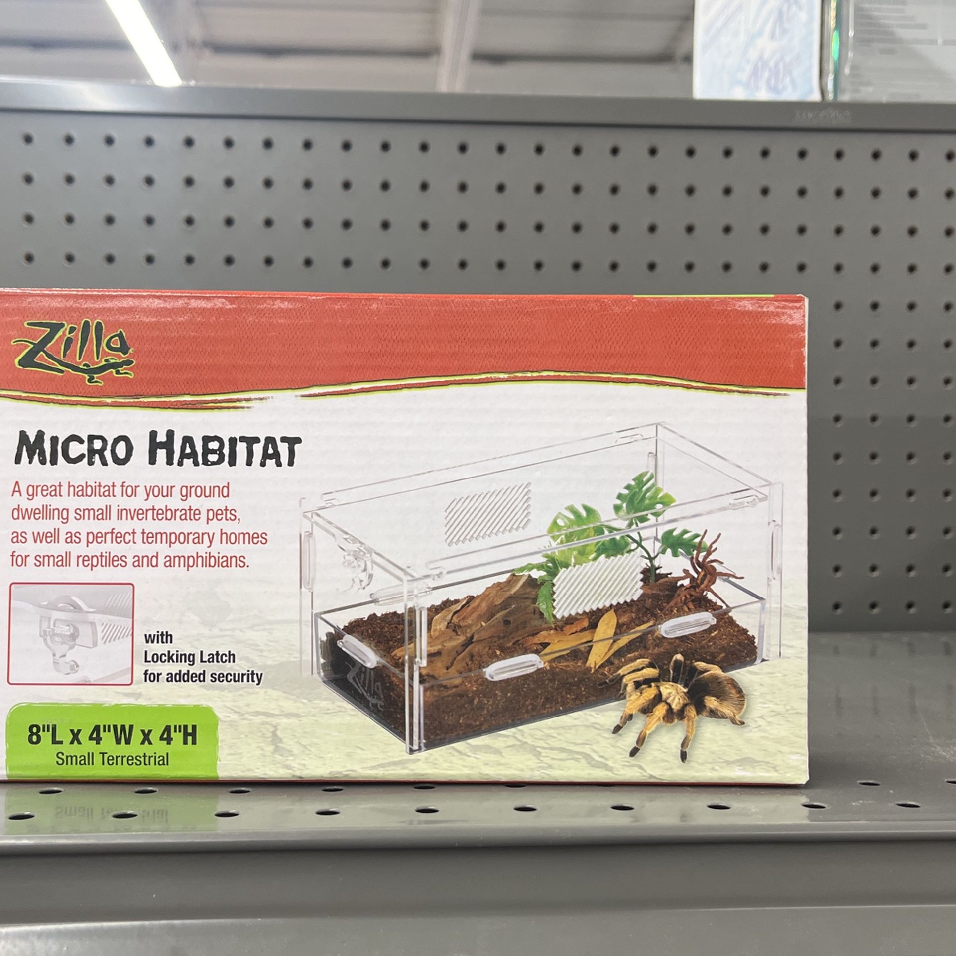 Small terrestrial microhabitat