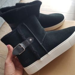Ugg Us 12