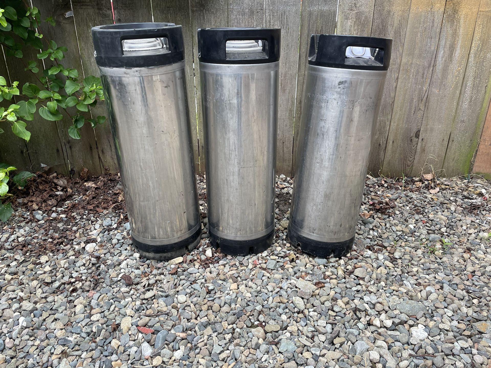 Cornelius Kegs