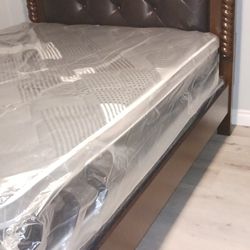 New Queen Size Bed 