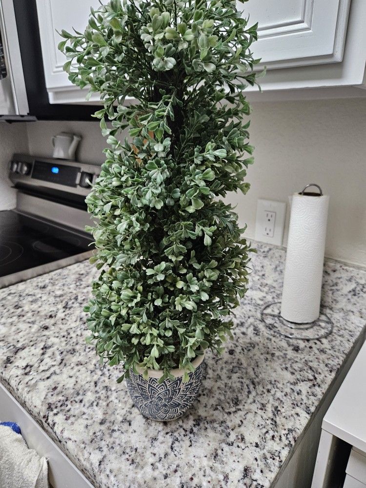 Plastic Plant For Only 5$