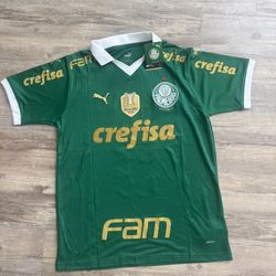 Palmeiras jersey Size Large #9 Endrick