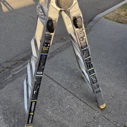 Gorilla  Extendable Ladder