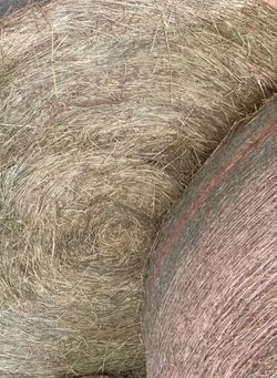 Horse Hay Bales  Rollos De sacate 