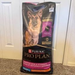 Dog Food 