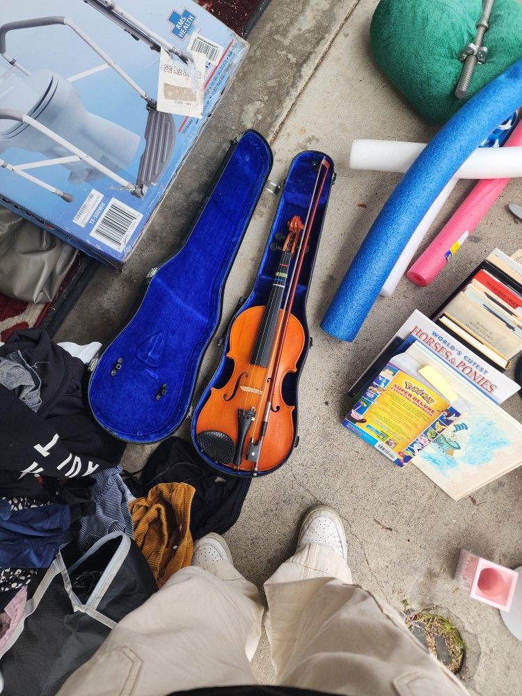 Violin