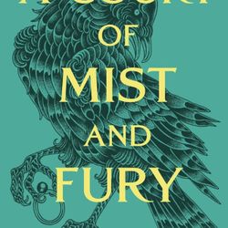 A Court Of Mist And Fury Book