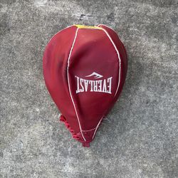 Everlast speed bag