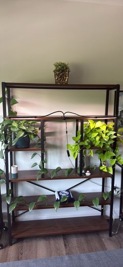 Industrial 5-tier bookshelf with dark wood finish