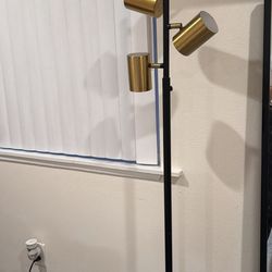 Black & Gold Floor Lamp