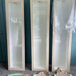 One Display Case Wall Mount 16x8x66