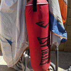 Everlast Punching Bag
