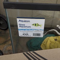 Aquarium 