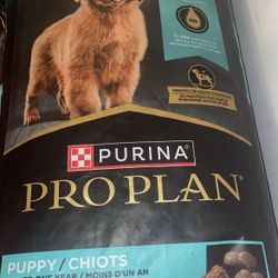 PUPPY PURINA 