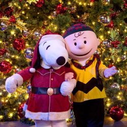 KNOTTS BERRY FARM 🎄☃️❄️🎢🎡🍿🥤(4) DIGITAL TICKETS 🎟️ 🎟️🎟️🎟️ $200 PRICE FIRM