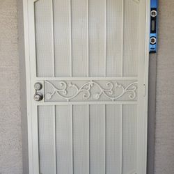 Security Door Heavy-Duty 36x80 (Installation Included)