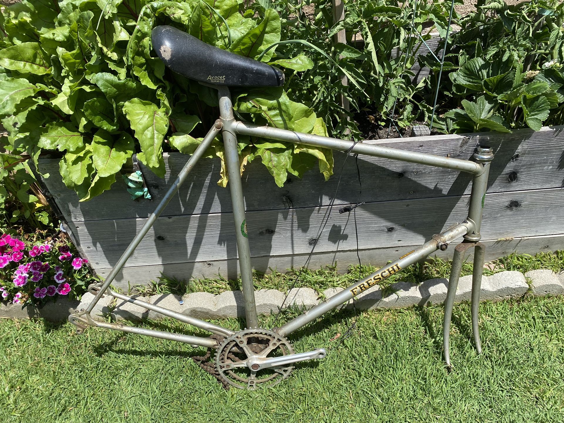 Freschi Rare Handmade Italian Roadbike-62 cm