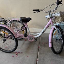 Tricycle 