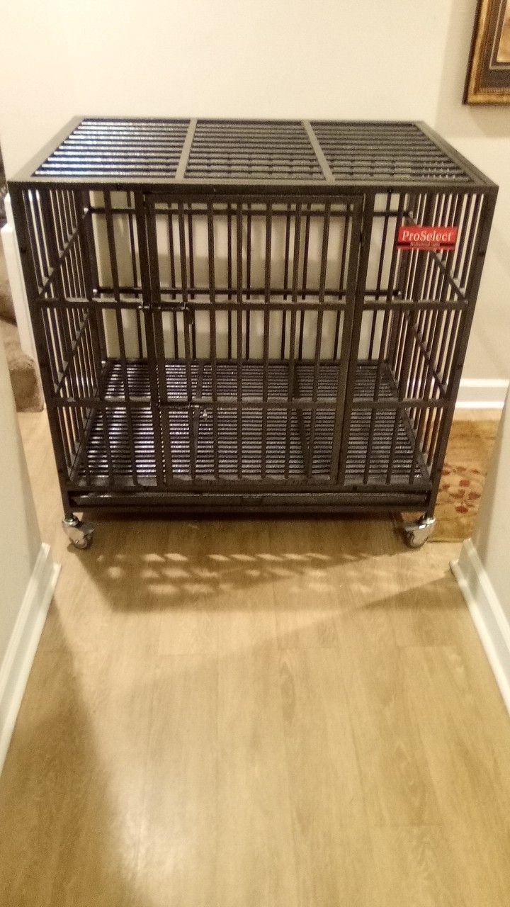 Pro select Professional Cage Dog Cage Pick Up Only